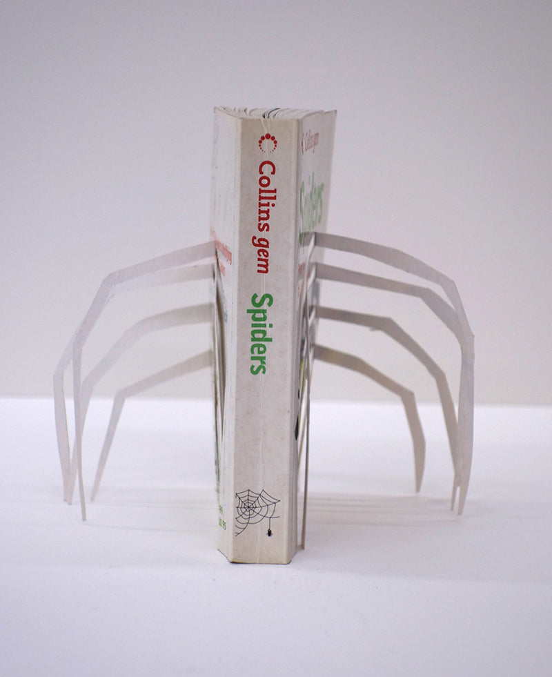 A cut book construction in an acrylic case by Jack Milroy titled Incy Wincy