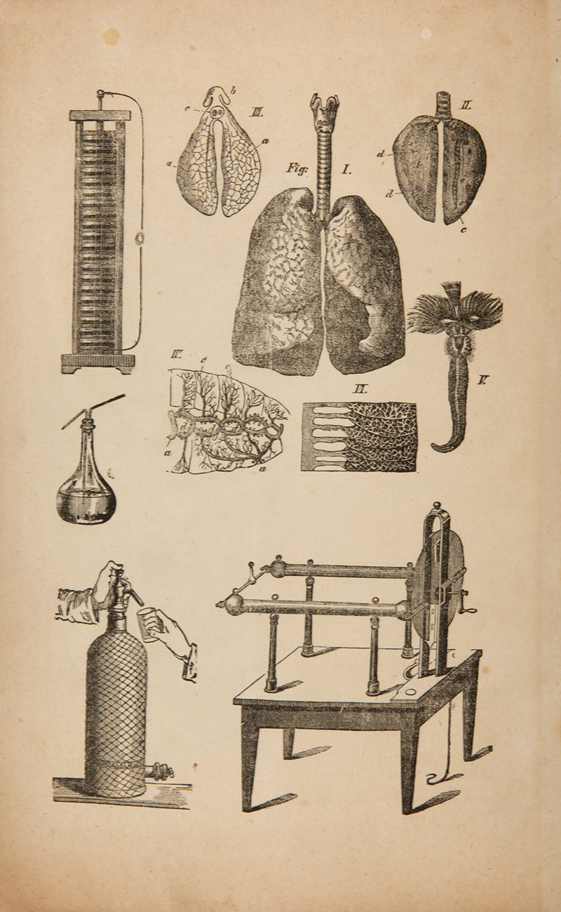 This extremely scarce prospectus advertises Volume III of his scientific works - 'Sefer HaHarkavah veHaHafradah o Chochmat HaChimiyah' which explores the science of chemistry. We couldn't locate any copies in of this prospectus in libraries world-wide.