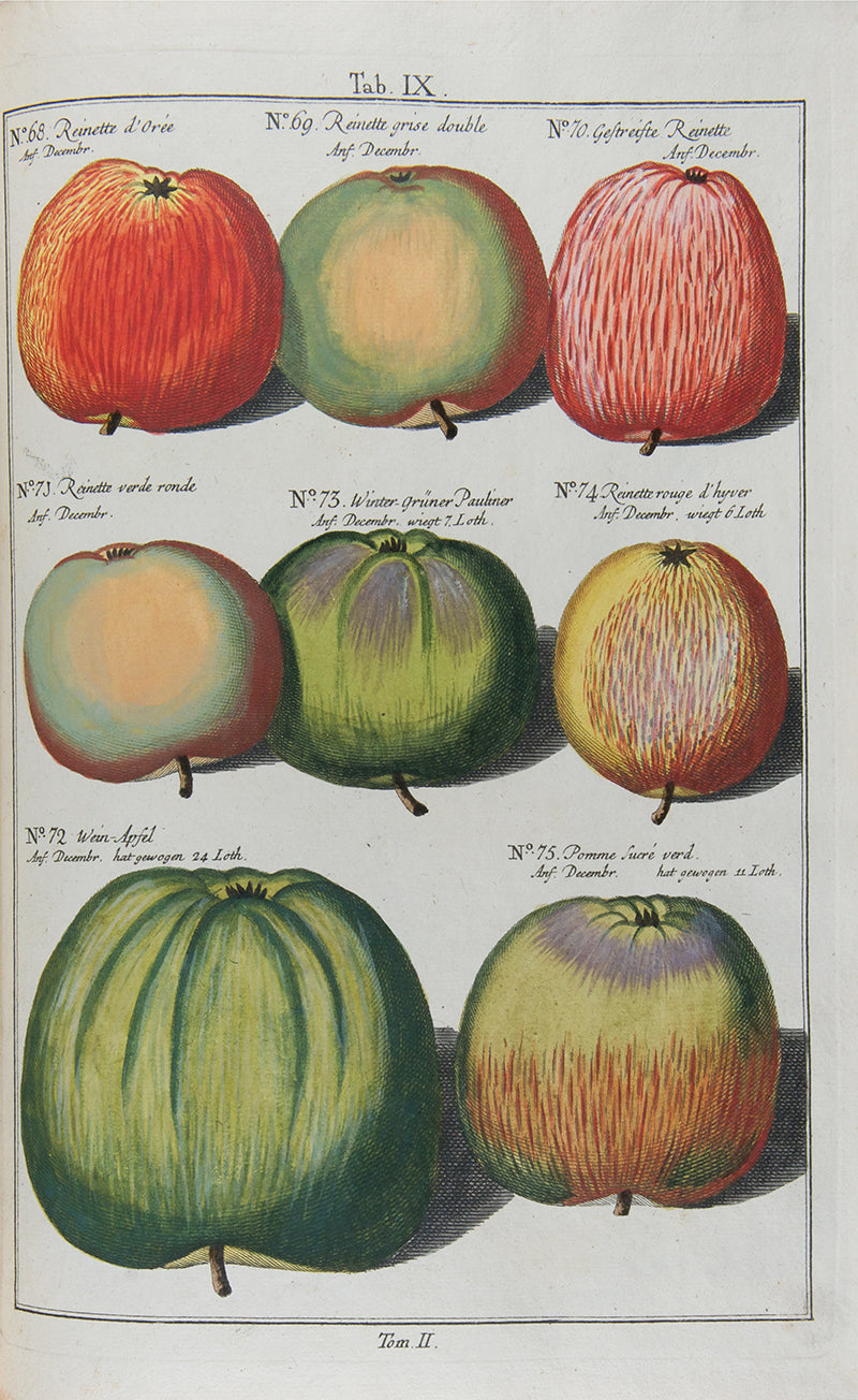 Pomologia,