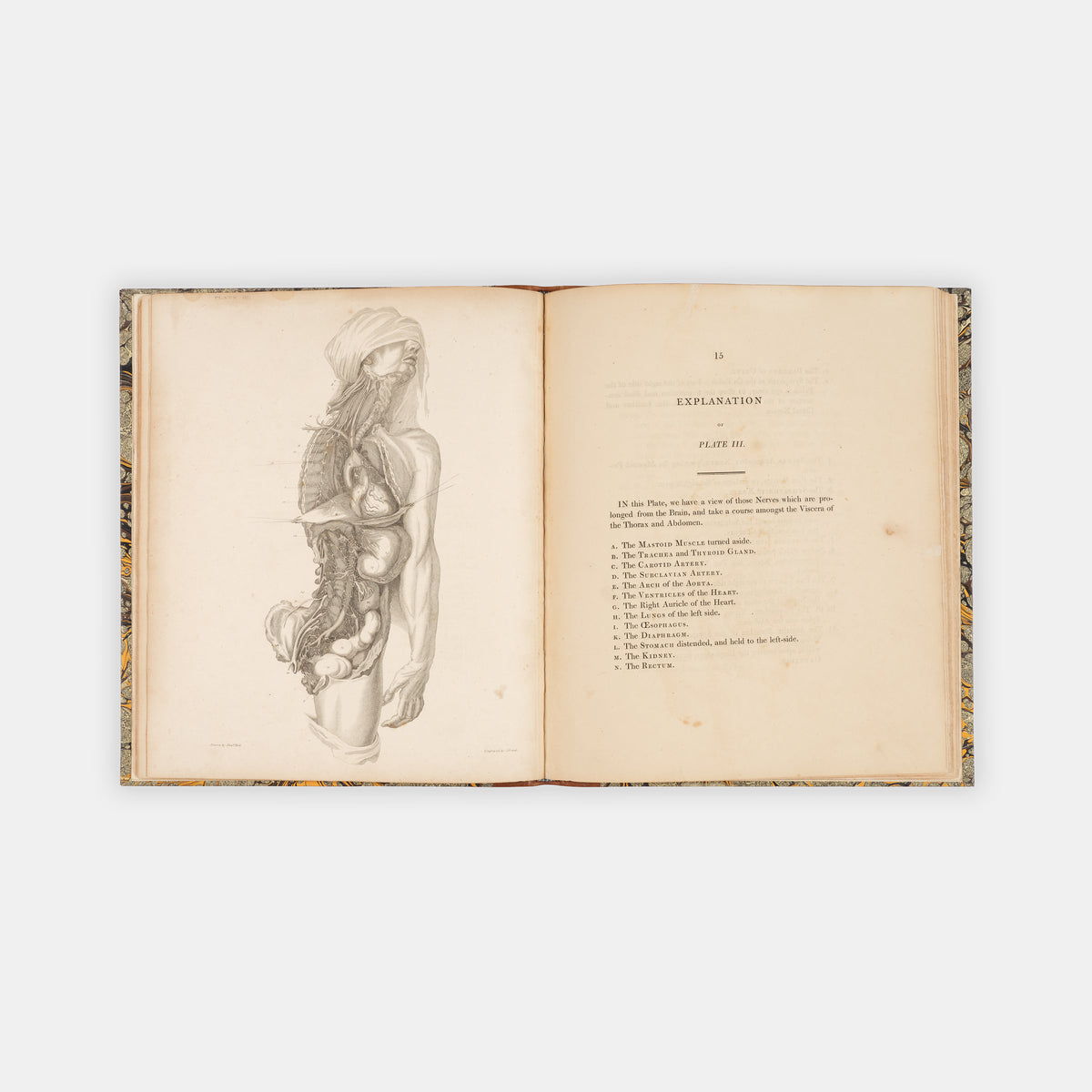 First edition of this early work by the prominent surgeon and anatomical illustrator Charles Bell, A Series of Engravings, Explaining the Course of the Nerves, published in 1803.