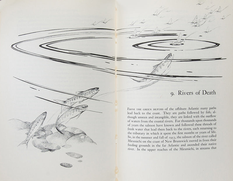 First edition of Rachel Carson's landmark work, Silent Spring, credited by many as the book that laid the foundations for the modern environmentalist movement.
