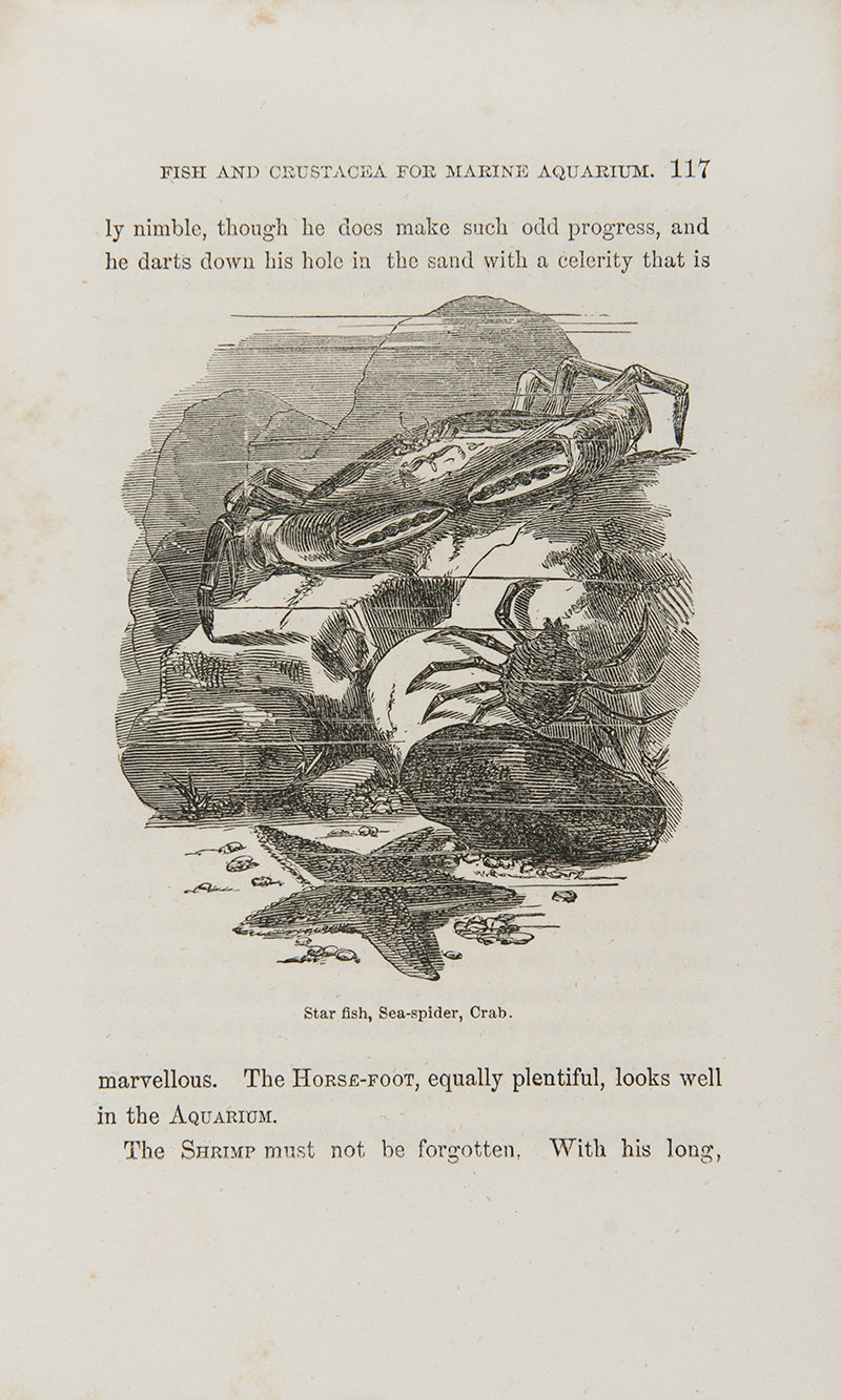 First edition of The Family Aquarium by Henry D. Butler, one of the first books on aquariums as a hobby, published in 1858.