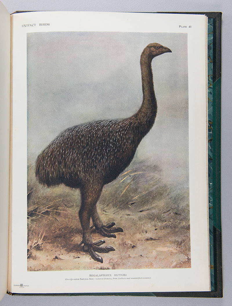 First edition of Lionel Walter Rothschild's important book Extinct Birds, one of the limited edition of 300 numbered and signed copies.