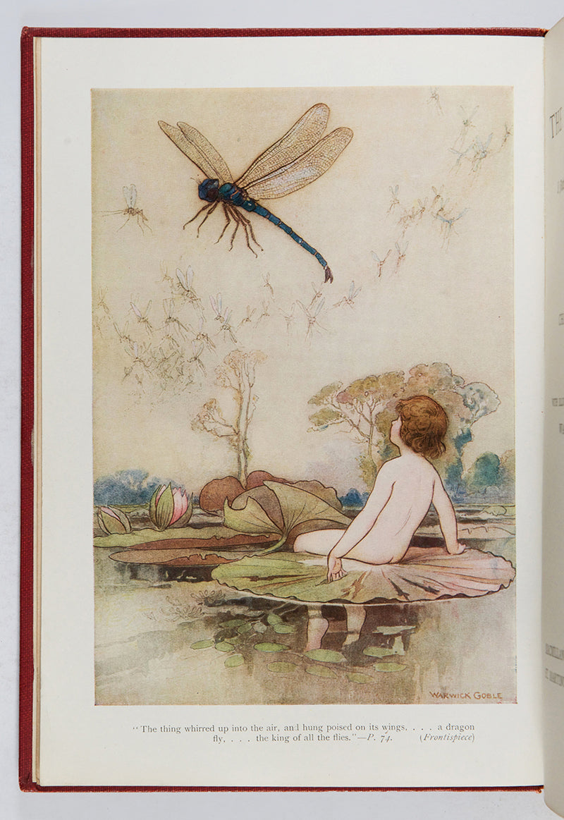 A wonderfully illustrated, handsome early printing of The Water Babies by Charles Kingsley.