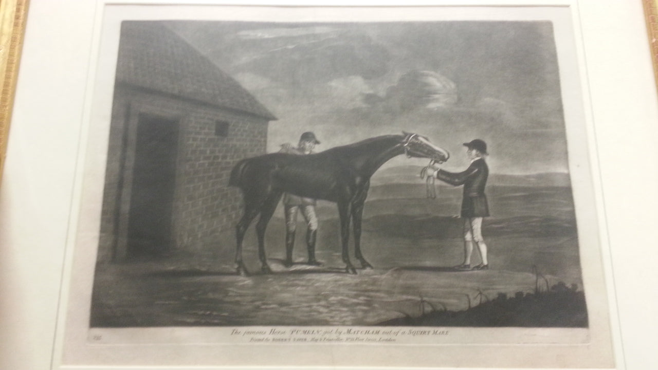 Careless (with jockey); Cardinal Puff; Pumpkin; Careless Beating Atlas.