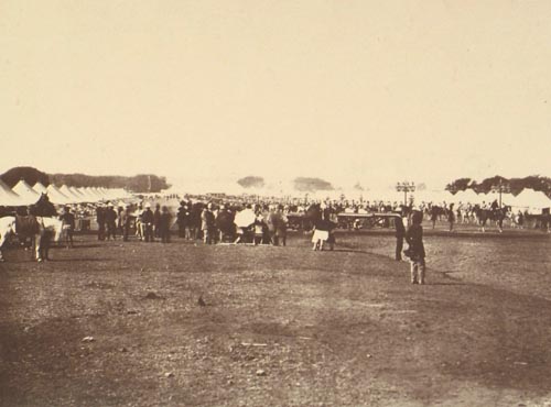 H.E The Viceroy's Camp.(I).