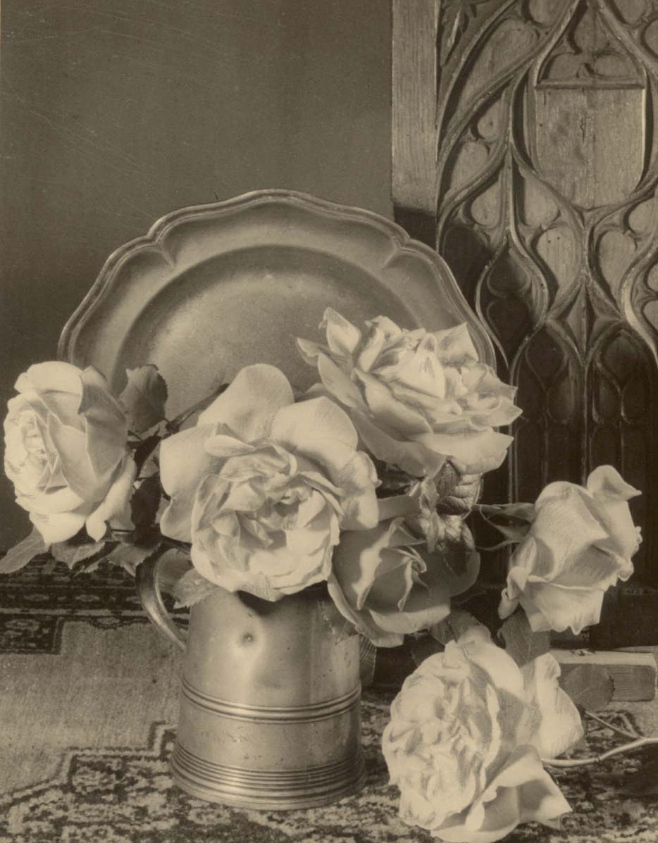 Roses, Still Life.