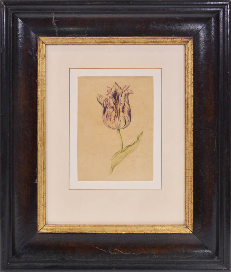 Water-colour on Dutch laid paper, some light toning. Framed and glazed