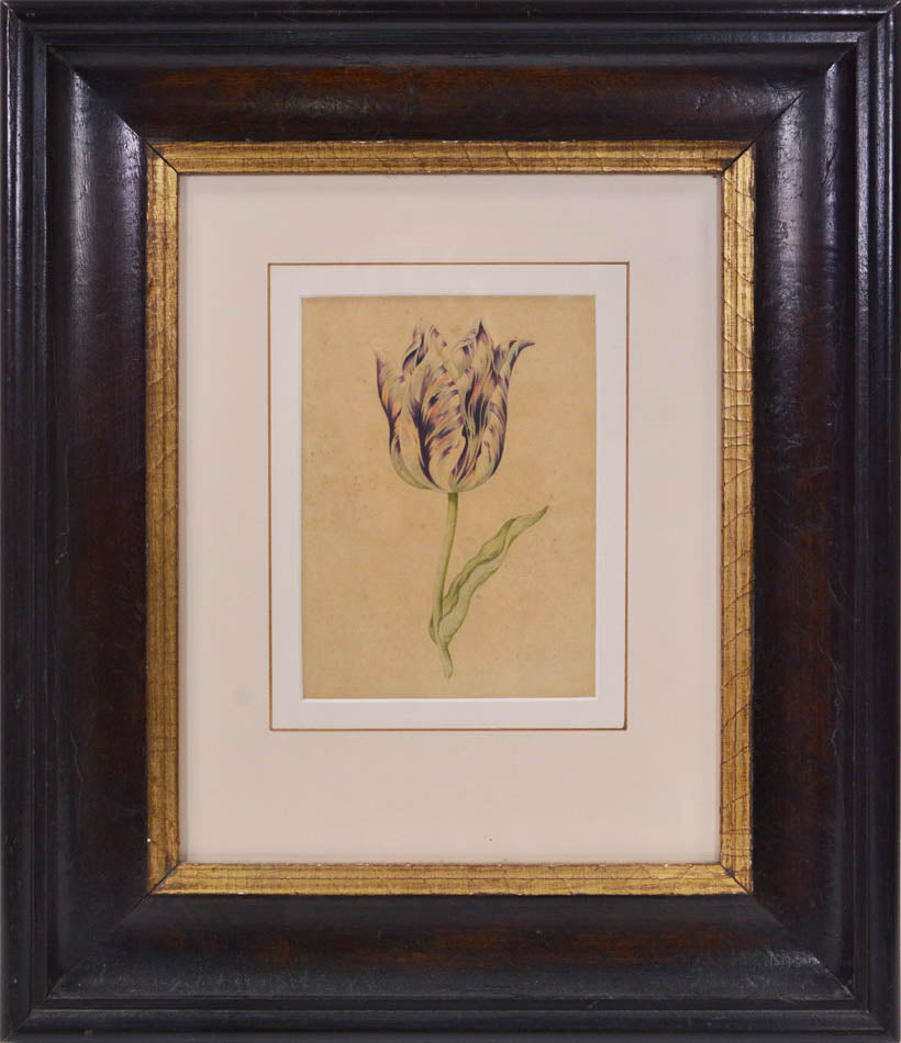 Water-colour on Dutch laid paper, some light toning. Framed and glazed, overall size: 38.7cm by 45.7cm.