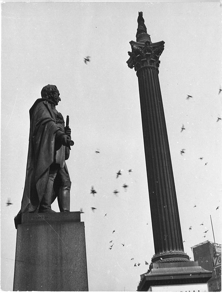 Nelson's column, Trafalgar Square, London.