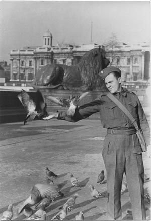 Feeding the pigeons on Trafalgar Square, London.