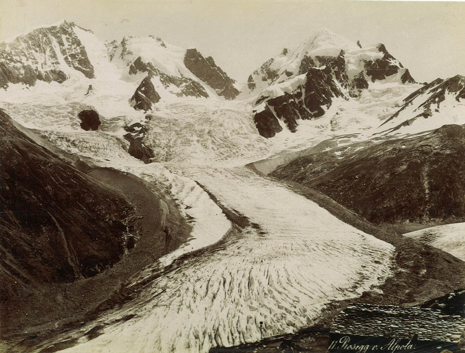 Rosegg v. Alpota.