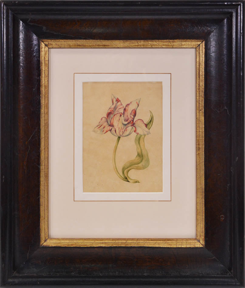 Water-colour on Dutch laid paper, light paper toning. Framed and glazed