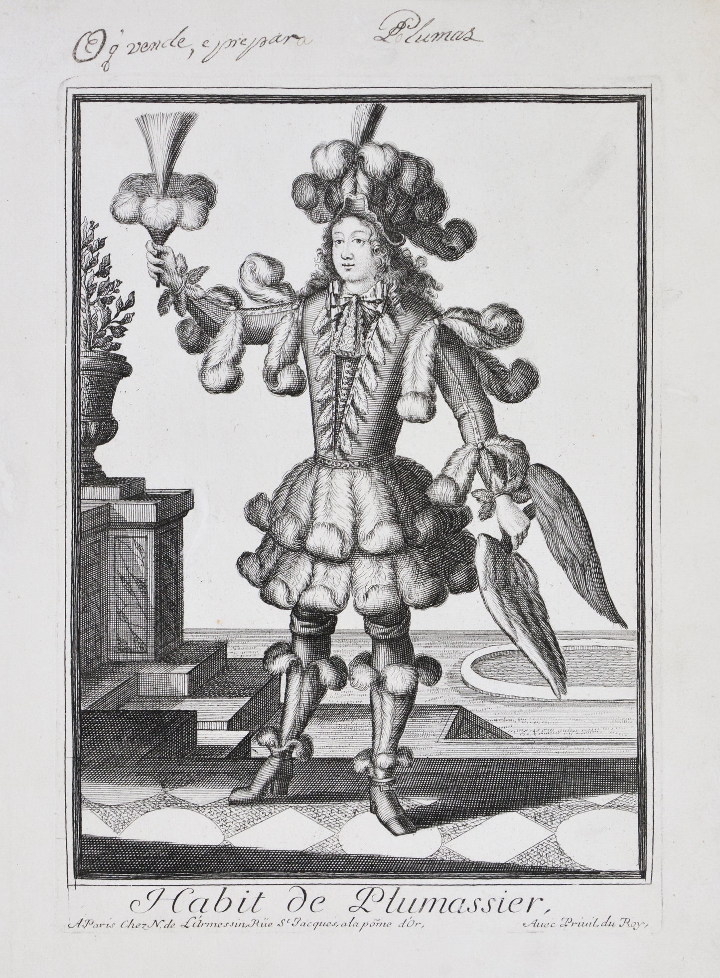 Habit de Plumassier.