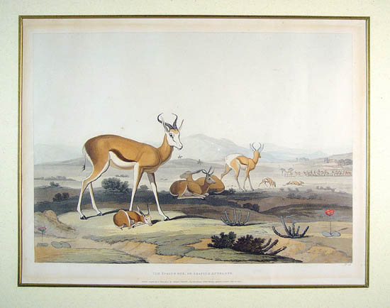 Boors Returning from Hunting.