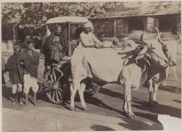 Indian carriage.