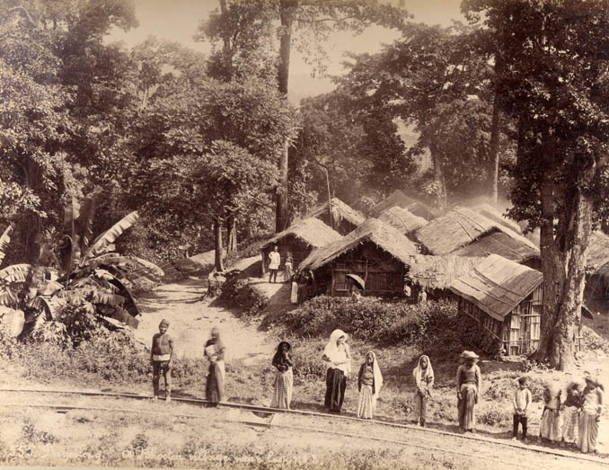 Darjeeling, Bhootea village.
