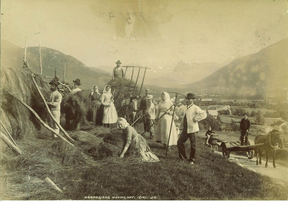 Norwegians making Hay.