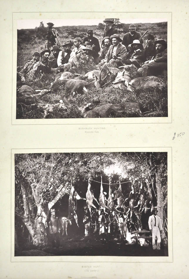 Bushbuck hunting. Wycombe vale, South Africa. / Easter hunt. (the larder).
