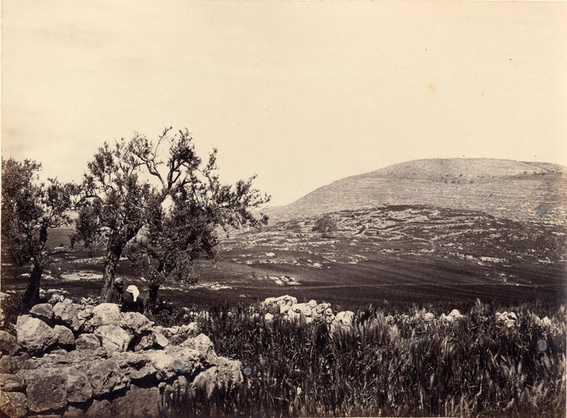 Shiloh (Seilun).