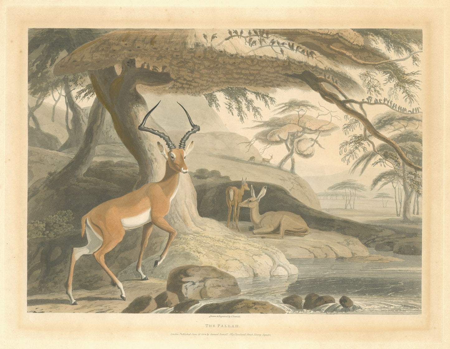 Hand-coloured aquatint. Some slight fading and browning to edges, otherwise in good condition.