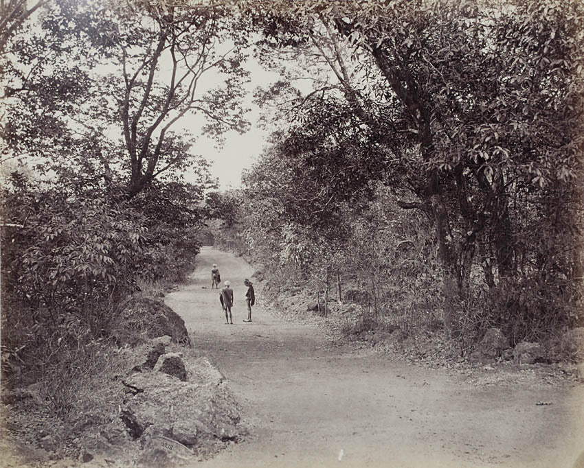 Matheran, near Mumbai (Bombay), Maharastra.