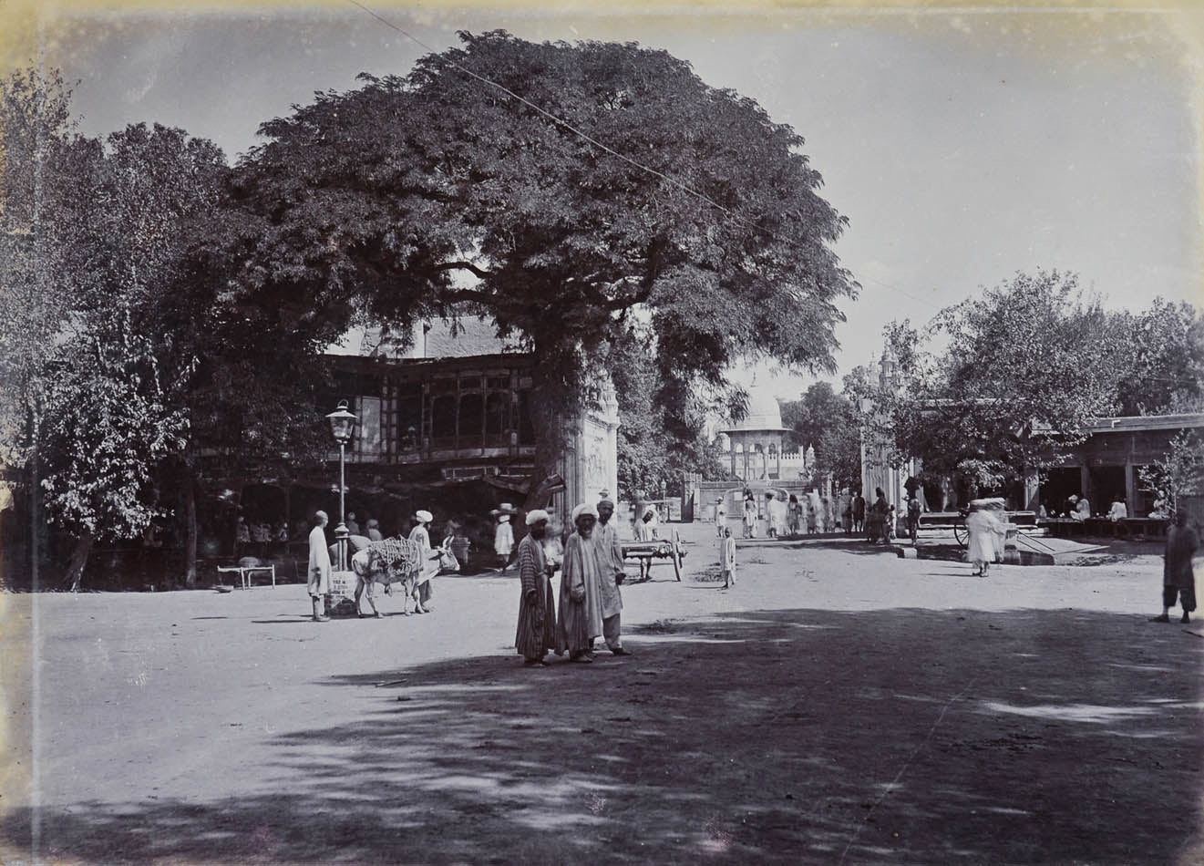 Allahabad, tea plantations in Assam, various images showing architectural details from temples and mausoleums, views on the Ganges, bazaar scenes in Madras