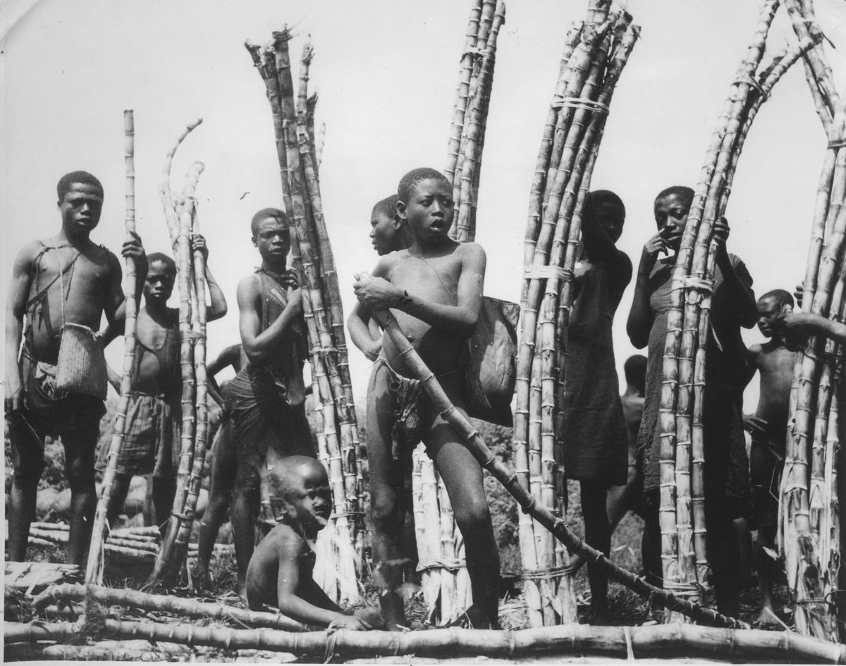 Young Cameroon children selling sugar cane in local market.