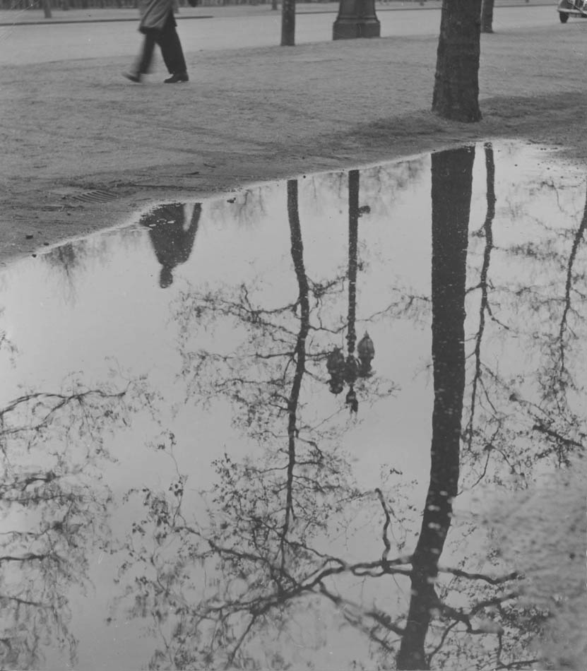 Reflections (On the Mall).