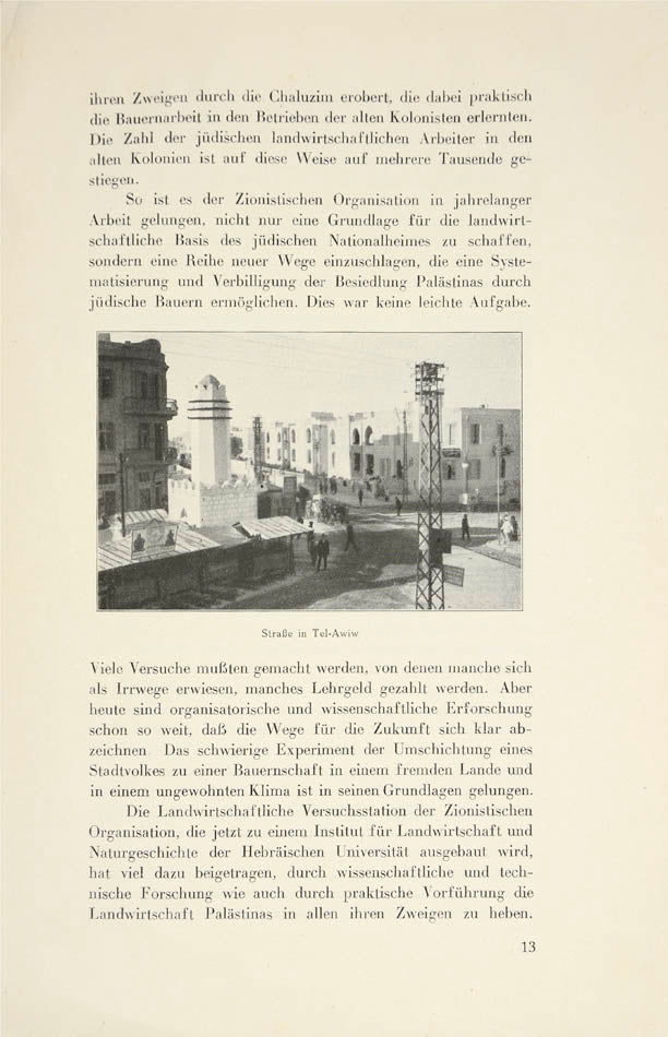 First edition of this illustrated report on the progress made by settlers in Palestine, published by the Executive of the World Zionist Organisation.