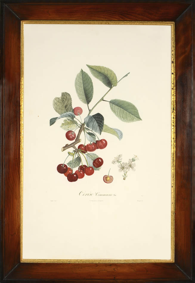A set of four stipple-engraved plates printed in colours and finished by hand.