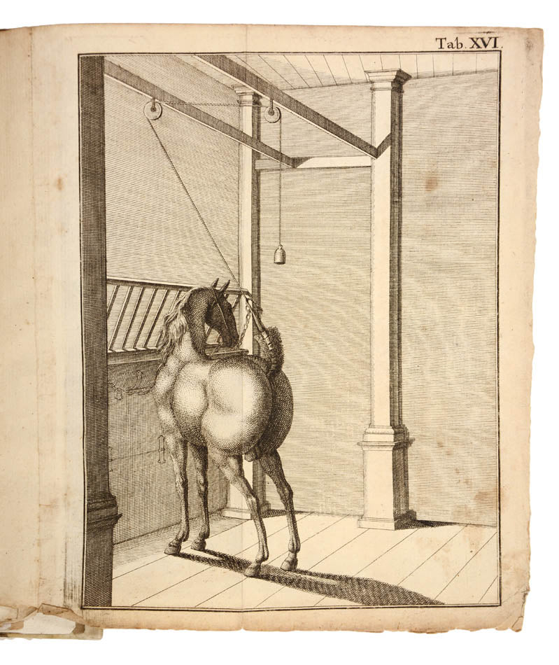 A German horse manual with a Jewish-Jargon dictionary supplement. 'Rare first edition of this original and curious work on horsemanship'.