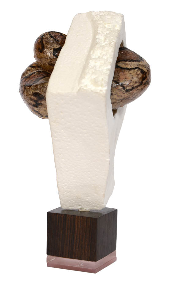 Polly Morgan is a British artist known for her taxidermy sculptures. She dosn't sentimentalize nature but show as it is: cannibalistic and predatory.