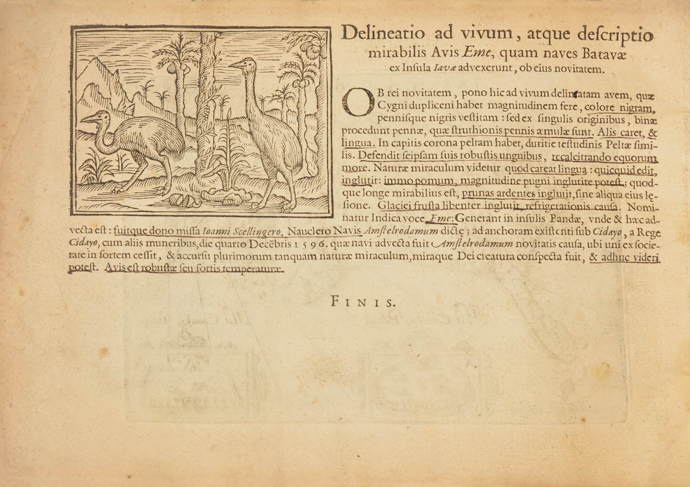 An anonymous account of Houtman's expedition which demonstrated to the Dutch that they could circumvent the Portuguese monopoly on trade in the East.