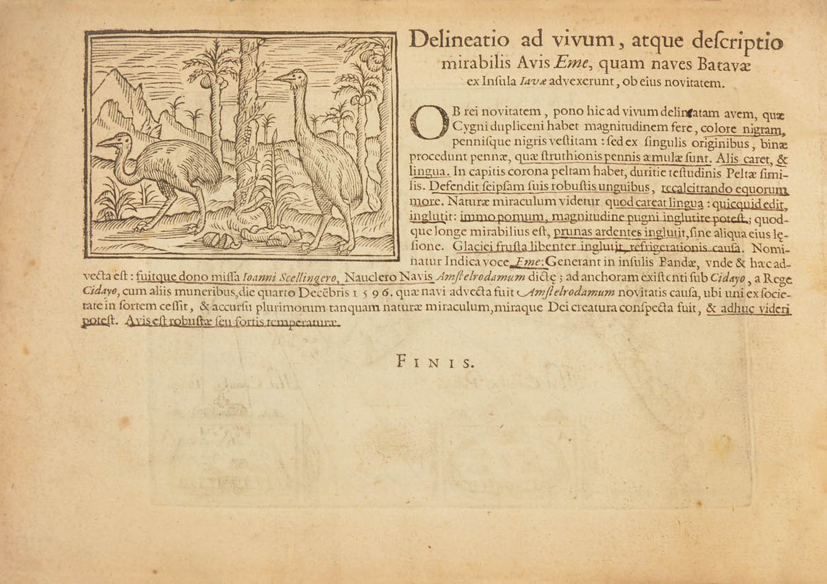 An anonymous account of Houtman's expedition which demonstrated to the Dutch that they could circumvent the Portuguese monopoly on trade in the East.