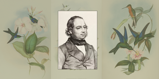 A Giant Book of Tiny Birds: The First Edition of John Gould’s Hummingbirds