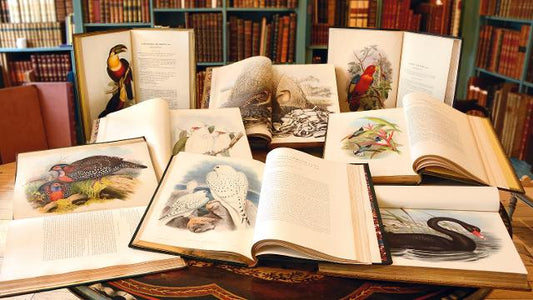 Americana Exchange: Shapero at TEFAF 2013