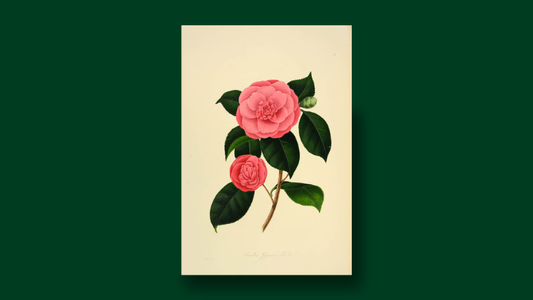 Easter 2026: Opening Hours