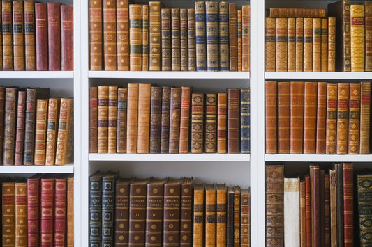 Here Be Dragons | Recent Travel Acquisitions Shapero Rare Books