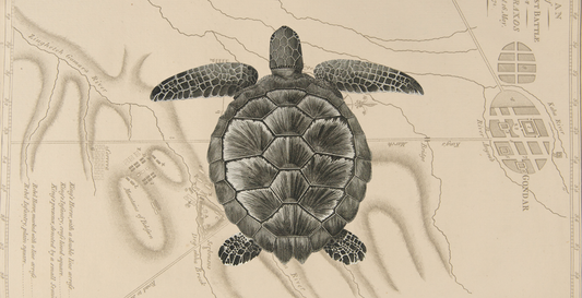 Great Explorers: James Bruce