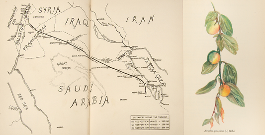 Books by Travellers: A Selection from Our Shelves