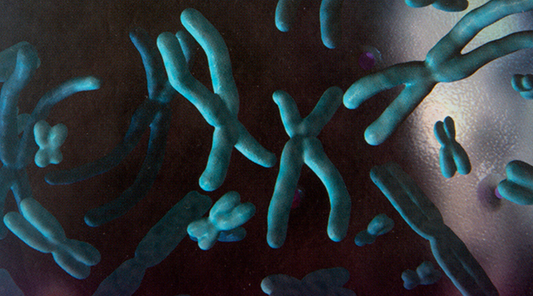 Introducing our New Department: Rare Science Books