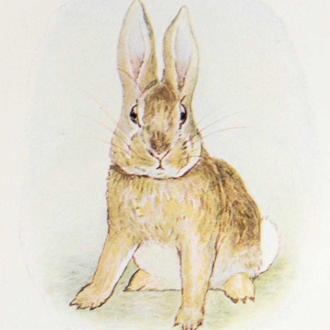 Beloved Beatrix Potter
