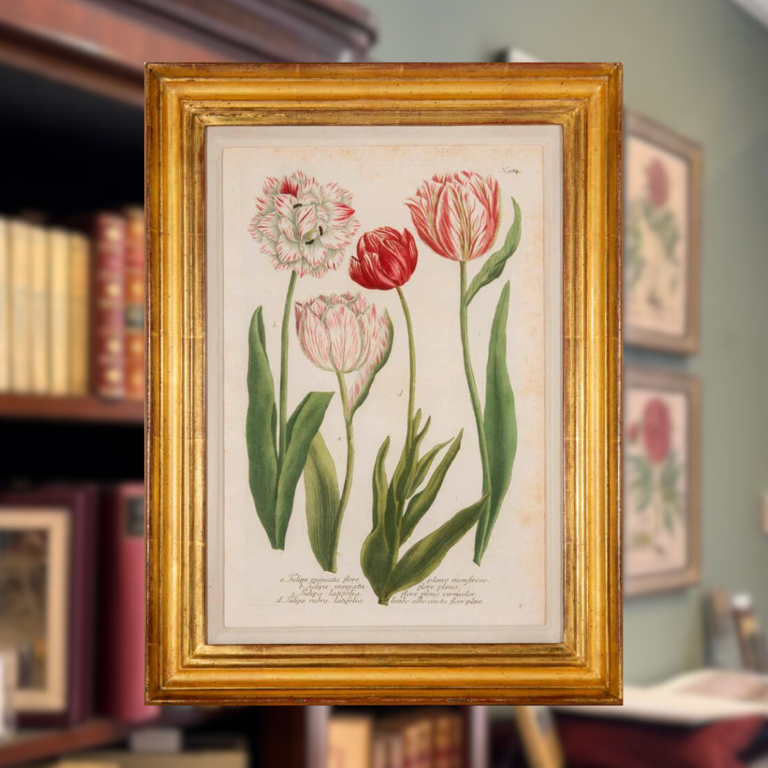 Flowers and Botanical Shapero Rare Books