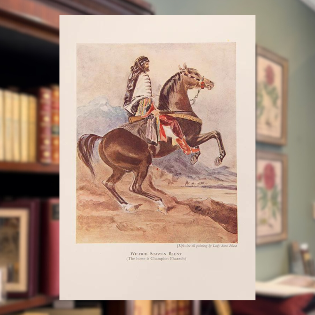 Horse Sports Shapero Rare Books