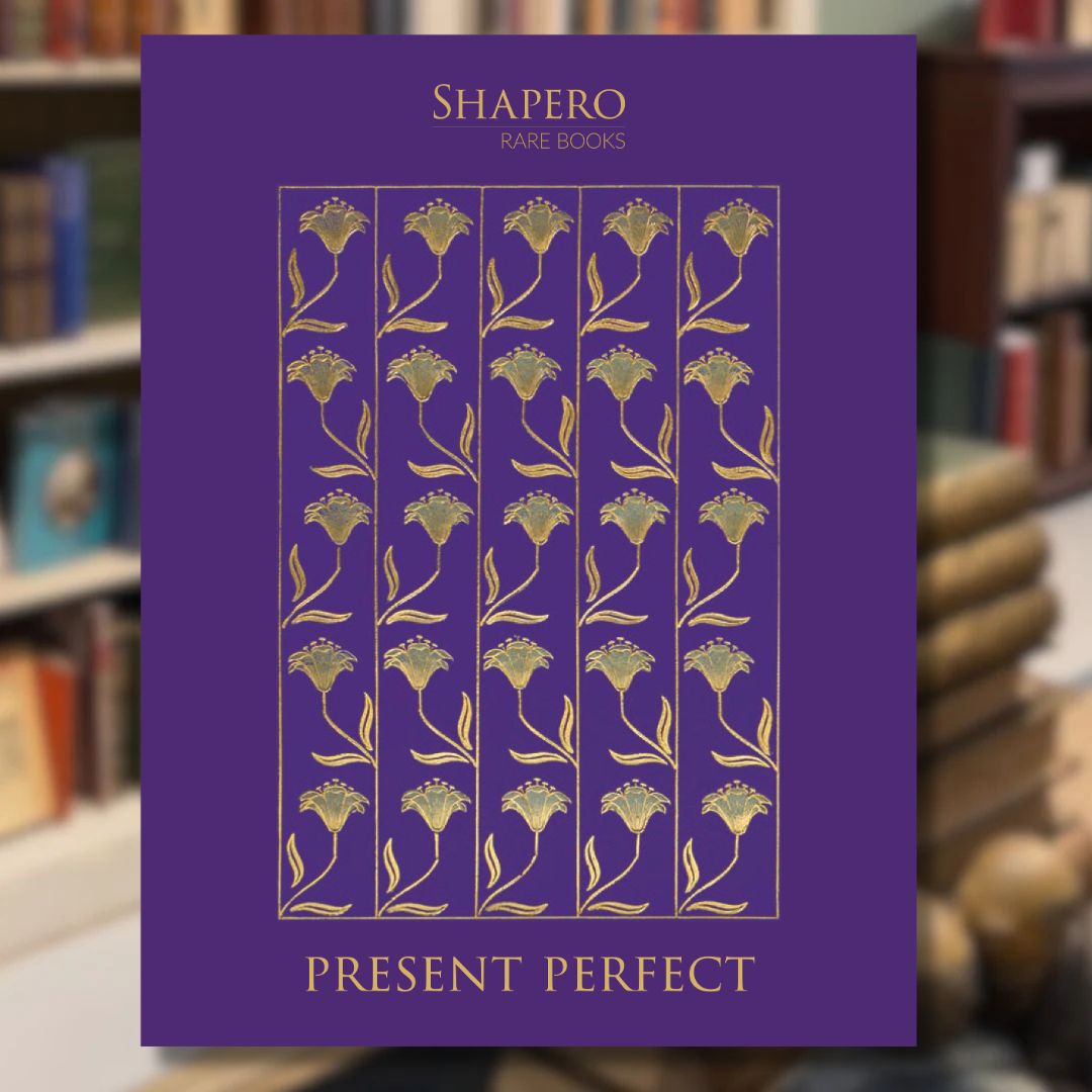 Present Perfect 2024