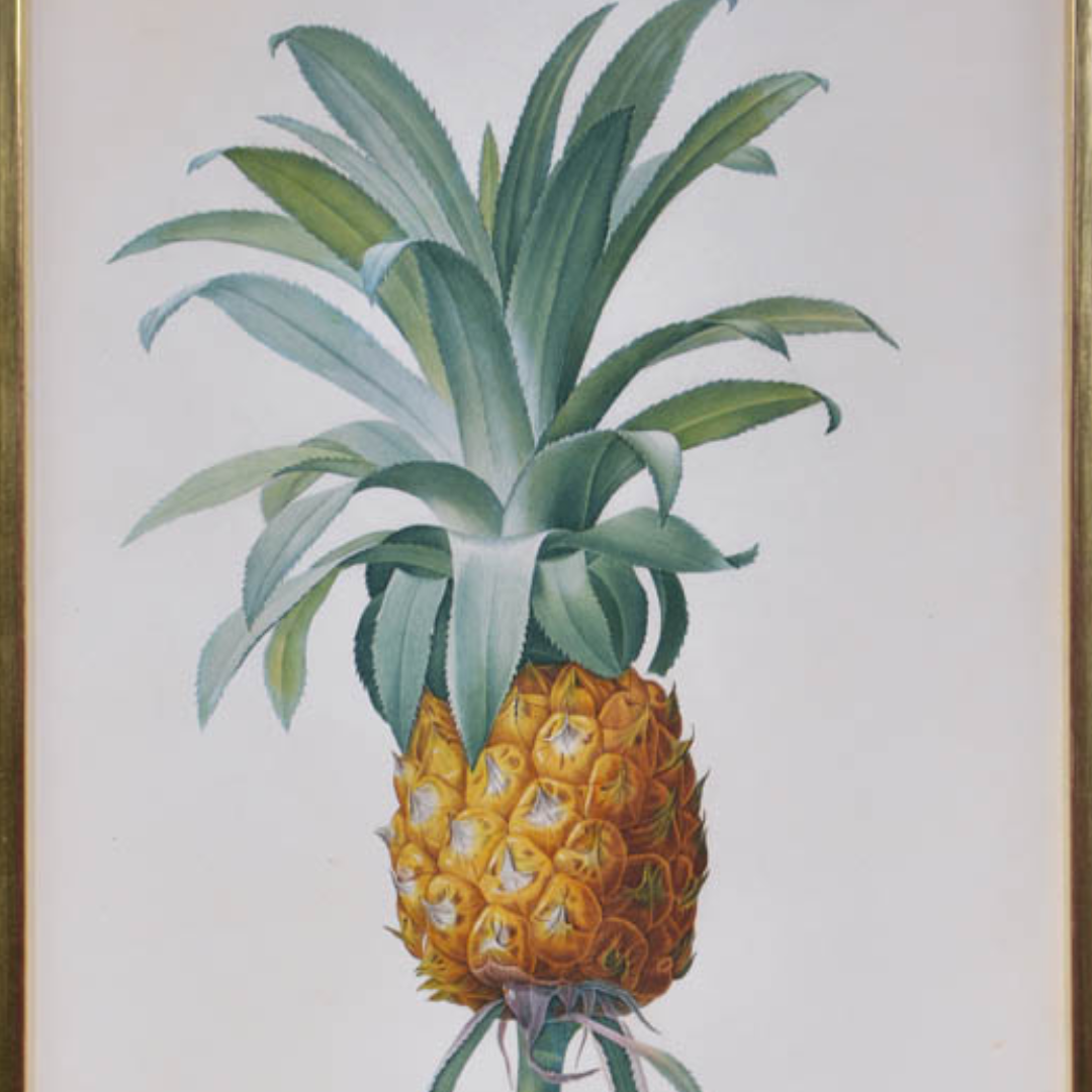 Born on 10 July 1759 | Pierre-Joseph Redouté