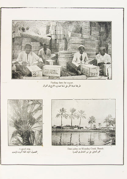 Scarce photo publication of both Iraq and Central Arabia during the Great War, brought out by St John Philby at the end of the year 1918. 