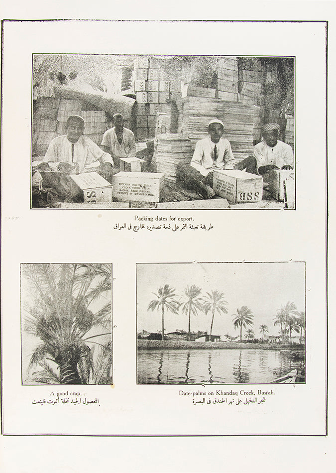 Scarce photo publication of both Iraq and Central Arabia during the Great War, brought out by St John Philby at the end of the year 1918. 