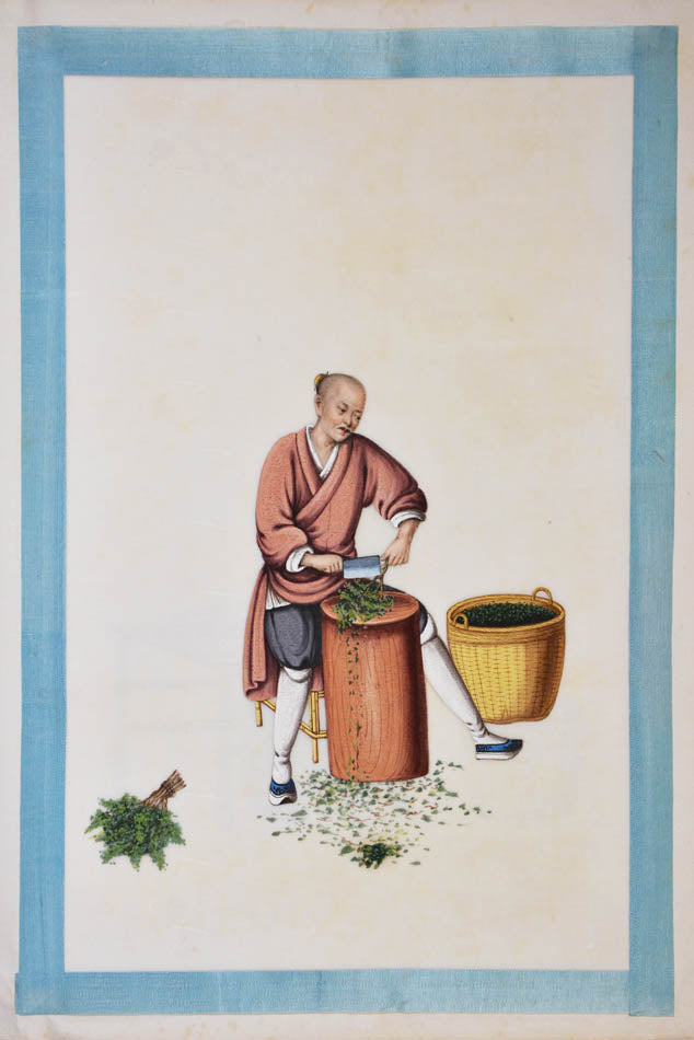 An excellent example of rare Chinese album on pith paper on tea cultivation depicting each process in detail